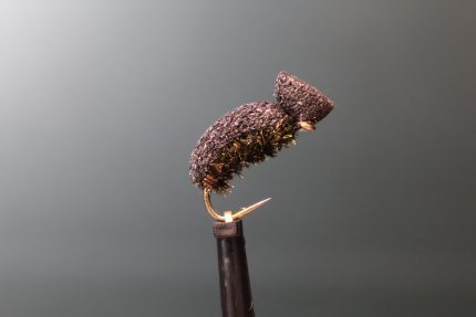 Piscari Natural Peacock Beetle