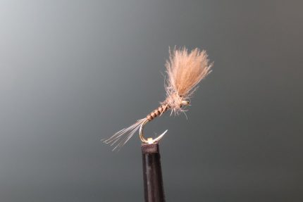 Piscari Natural Quill Emerger