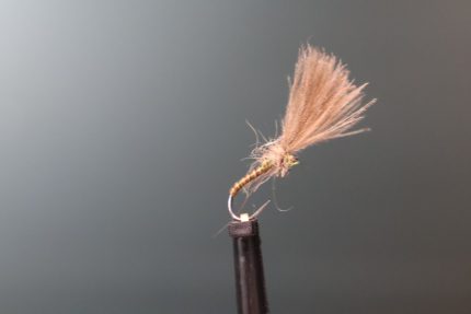 Piscari Olive Quill Emerger