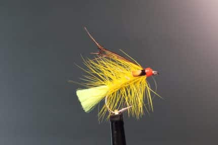 Piscari Yellow George