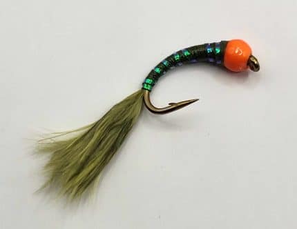 Pearly Olive and Orange Stalking Bug